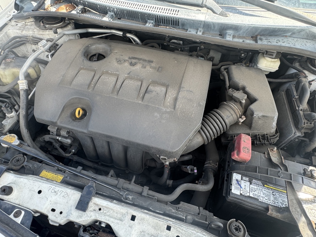 Pacific Auto Auction 2025.11.11.IMG_1544.JPG