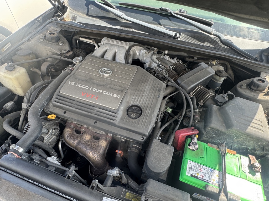 Pacific Auto Auction 2025.11.11.IMG_1555.JPG