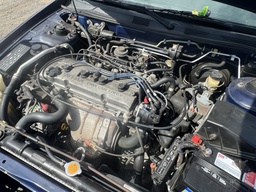 Pacific Auto Auction 2025.11.11.IMG_1579.JPG