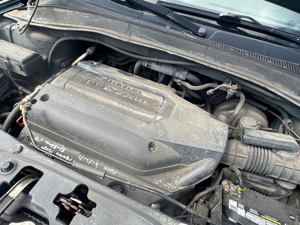 Pacific Auto Auction 2025.11.11.IMG_1586.JPG