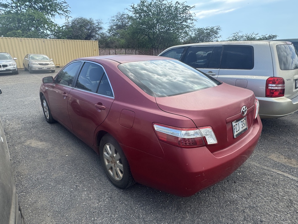 Pacific Auto Auction 2025.11.11.IMG_1614.JPG