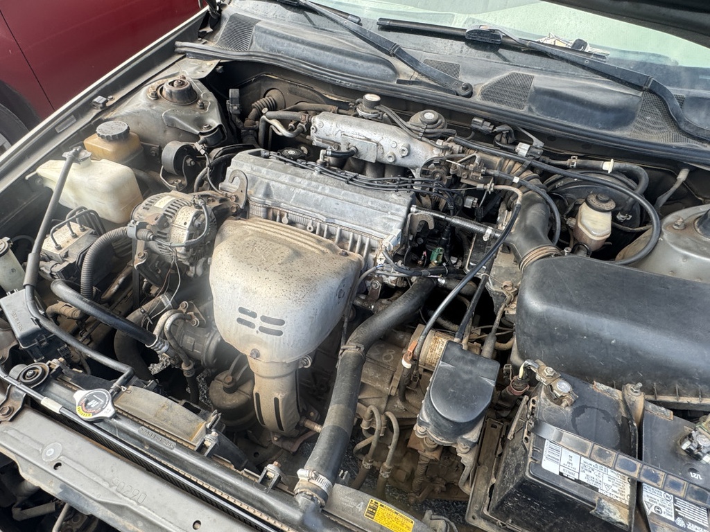 Pacific Auto Auction 2025.11.11.IMG_1619.JPG