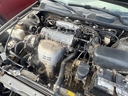 Pacific Auto Auction 2025.11.11.IMG_1619.JPG