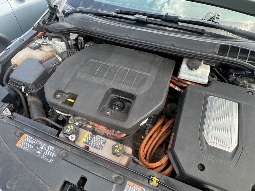 Pacific Auto Auction 2025.11.11.IMG_1641.JPG