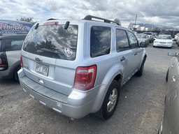 Pacific Auto Auction 2025.11.11.IMG_1667.JPG