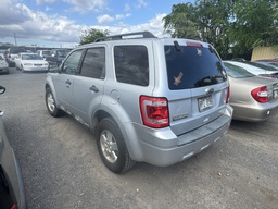 Pacific Auto Auction 2025.11.11.IMG_1668.JPG