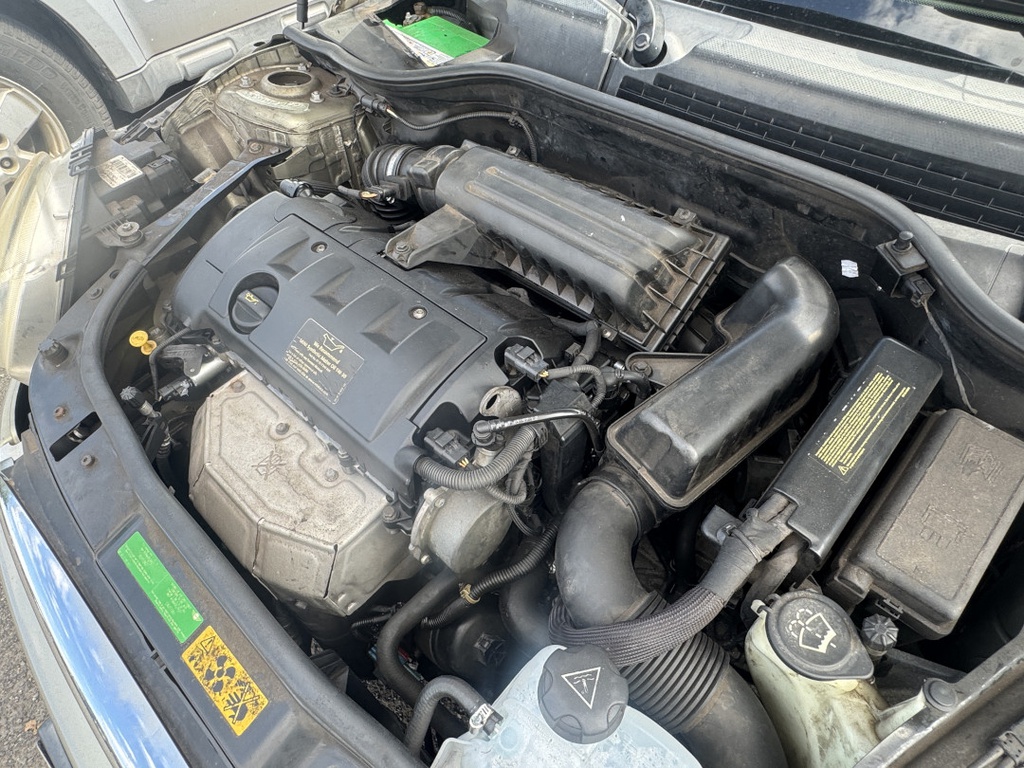 Pacific Auto Auction 2025.11.11.IMG_1673.JPG