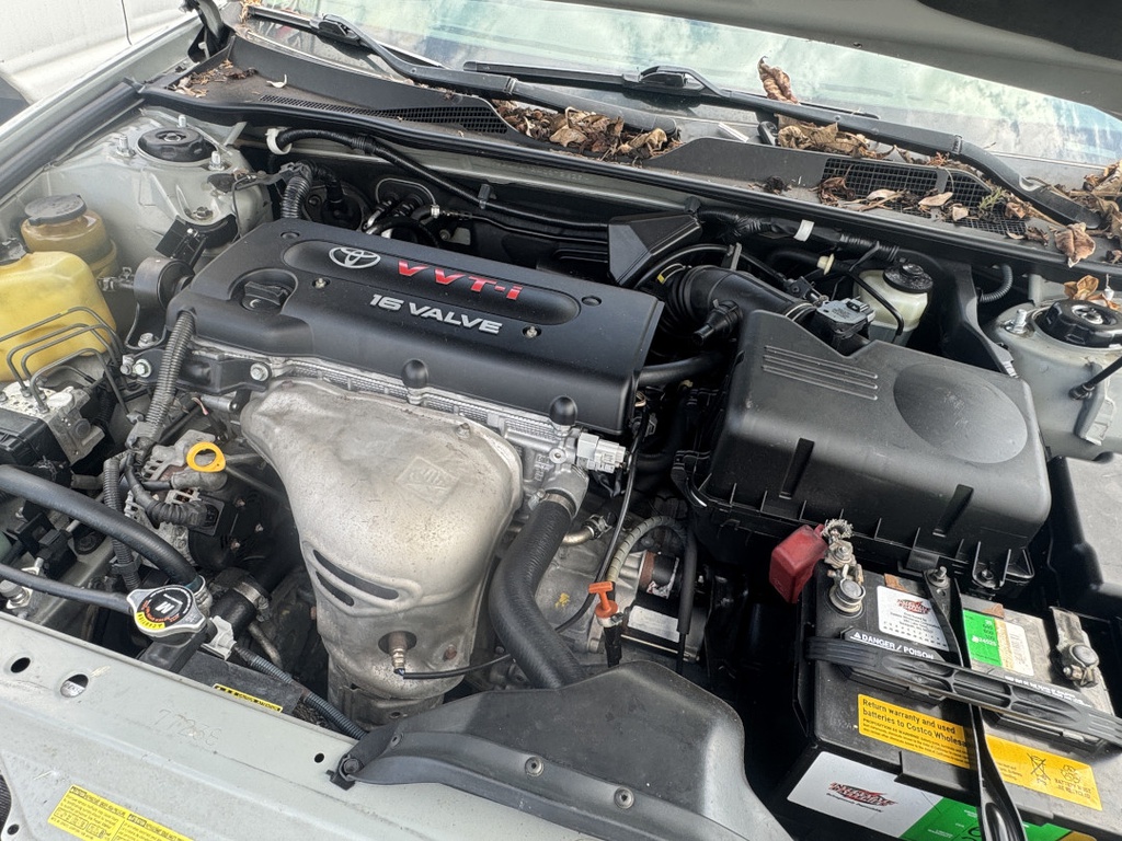 Pacific Auto Auction 2025.11.11.IMG_1685.JPG