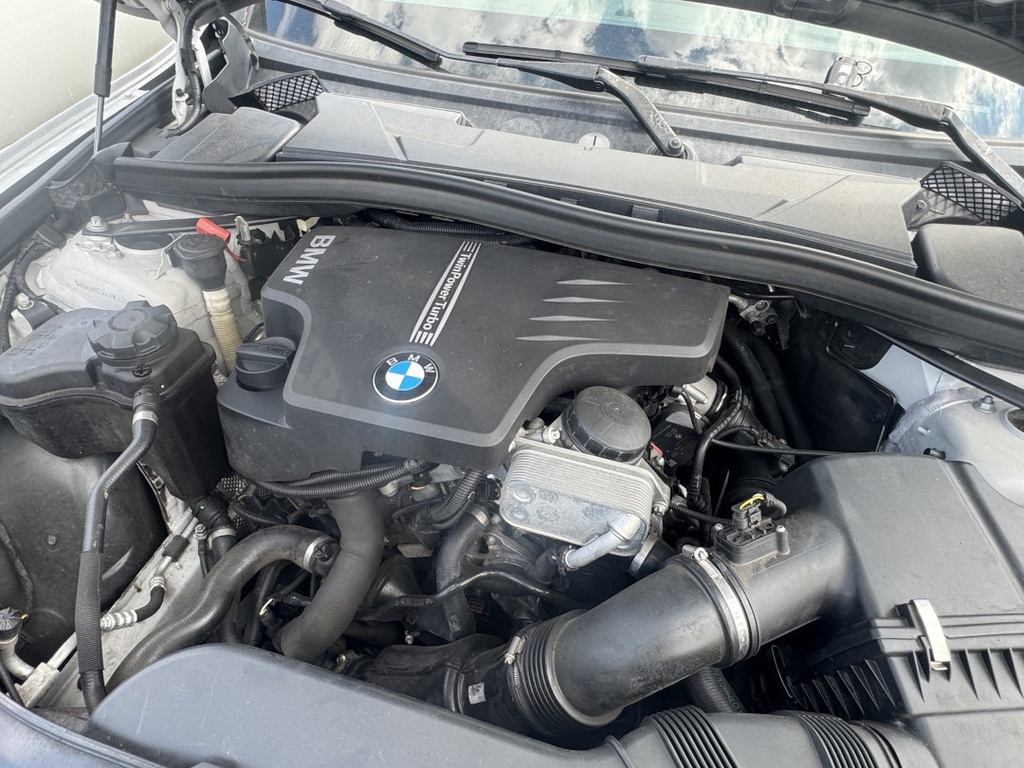 Pacific Auto Auction 2025.11.11.IMG_1697.JPG