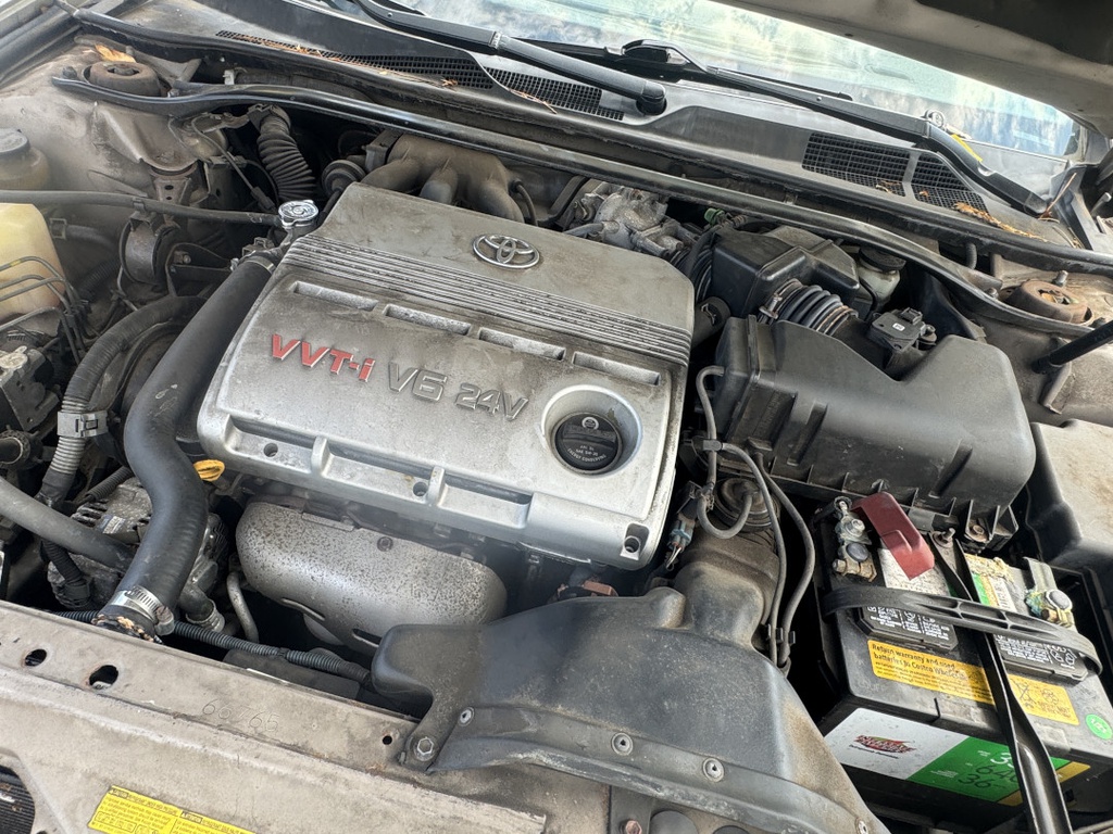 Pacific Auto Auction 2025.11.11.IMG_1708.JPG