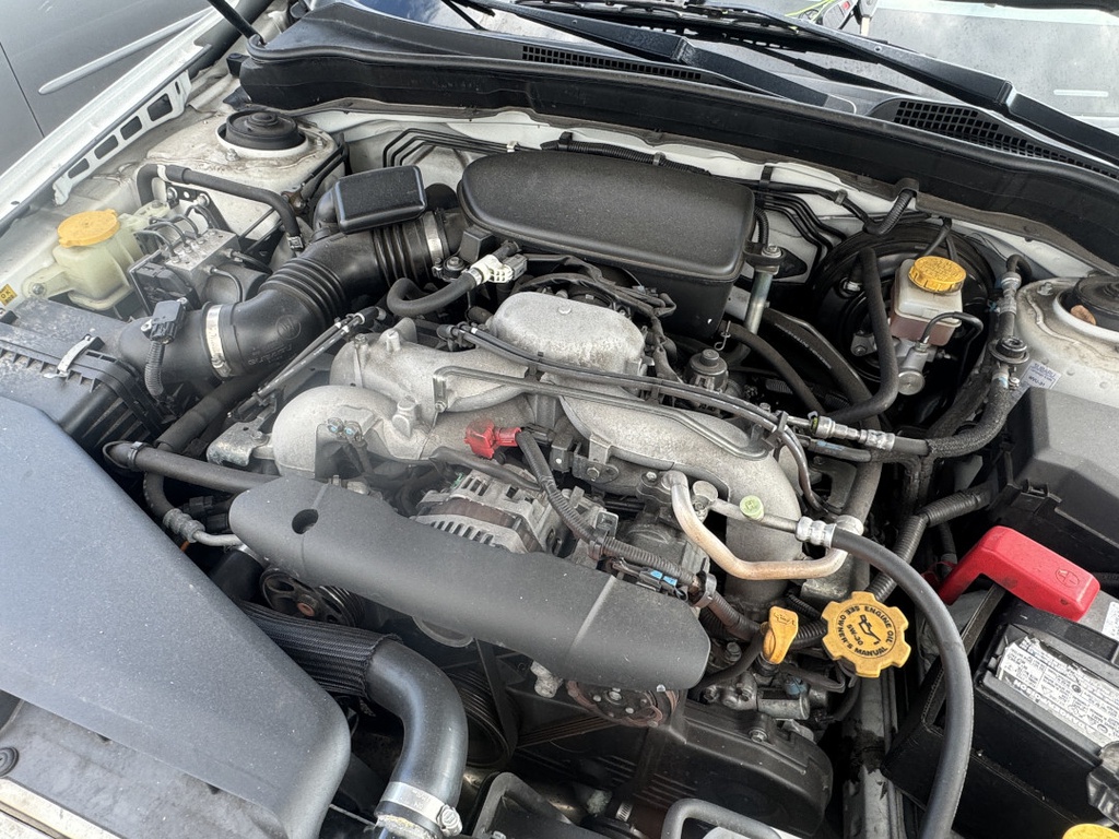 Pacific Auto Auction 2025.11.11.IMG_1722.JPG