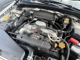 Pacific Auto Auction 2025.11.11.IMG_1722.JPG