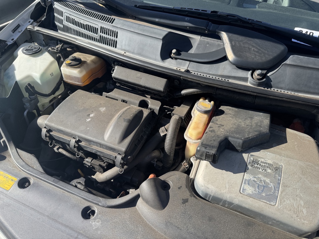 Pacific Auto Auction 2025.11.18.IMG_1789.JPG