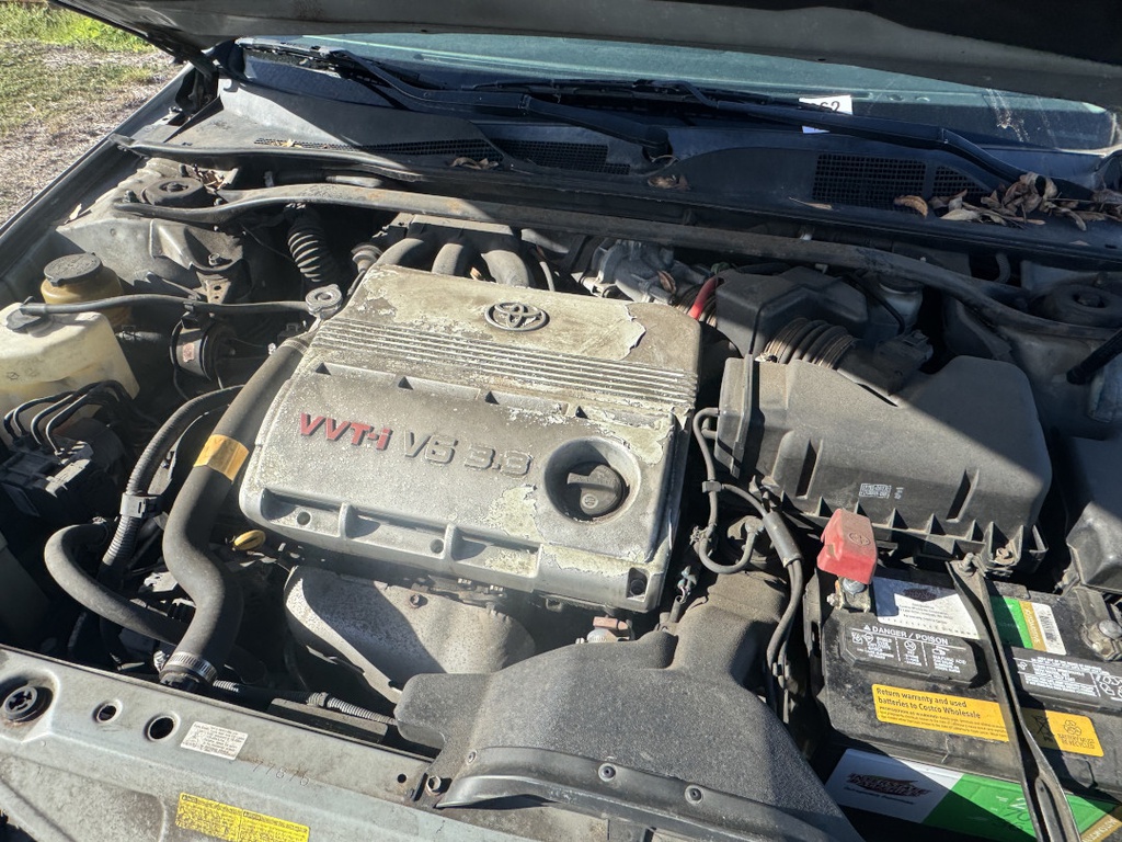 Pacific Auto Auction 2025.11.18.IMG_1800.JPG