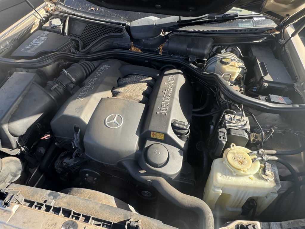 Pacific Auto Auction 2025.11.18.IMG_1832.JPG