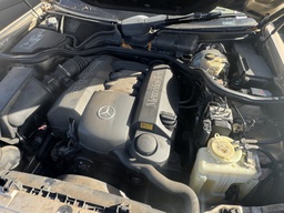 Pacific Auto Auction 2025.11.18.IMG_1832.JPG