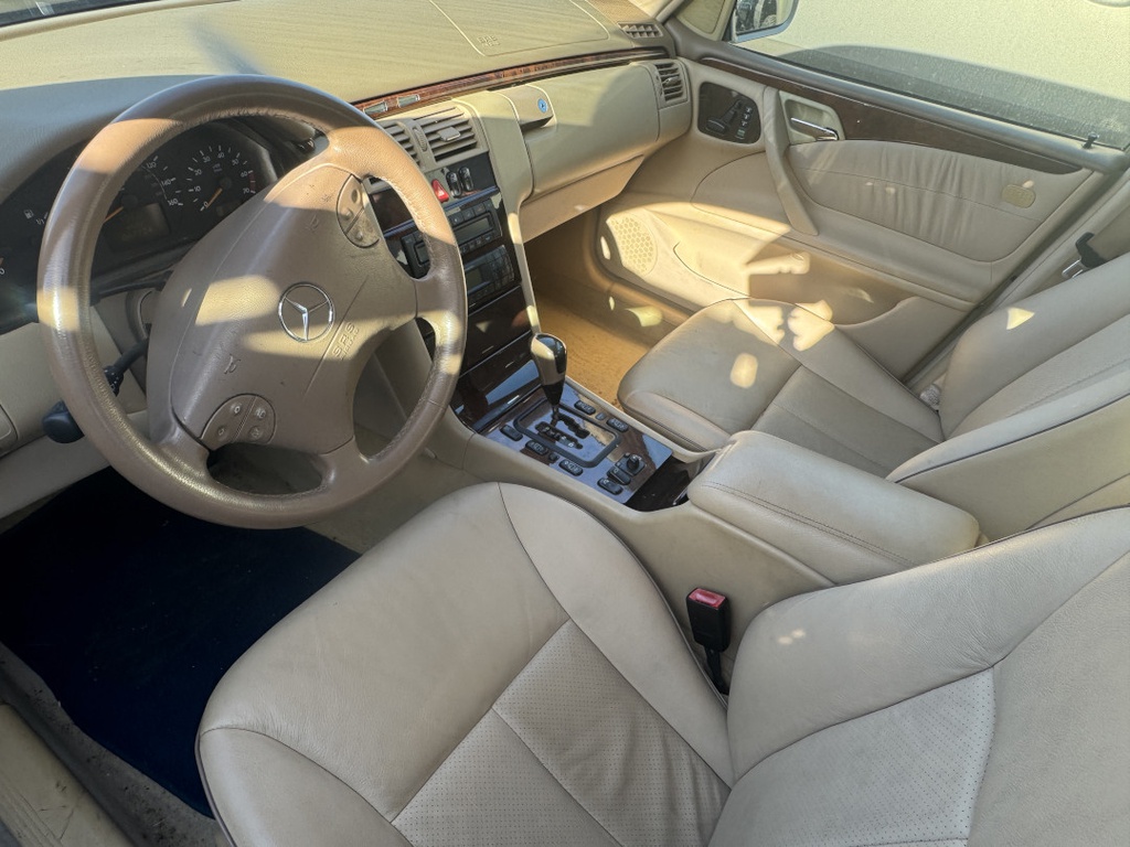 Pacific Auto Auction 2025.11.18.IMG_1839.JPG