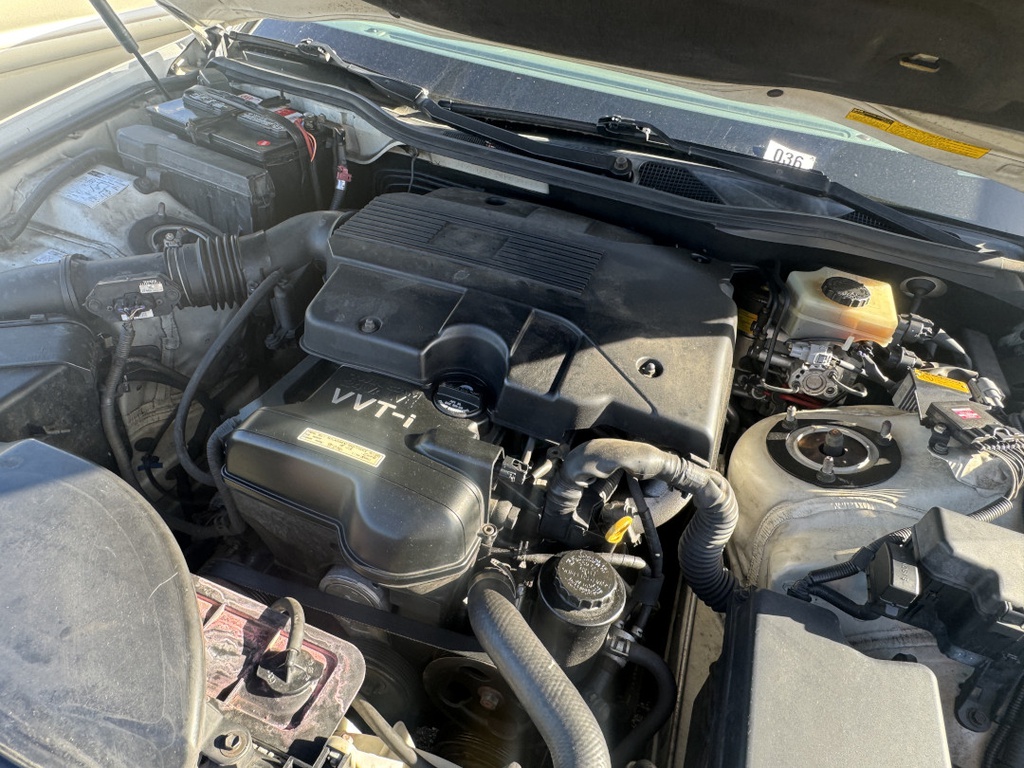 Pacific Auto Auction 2025.11.18.IMG_1854.JPG