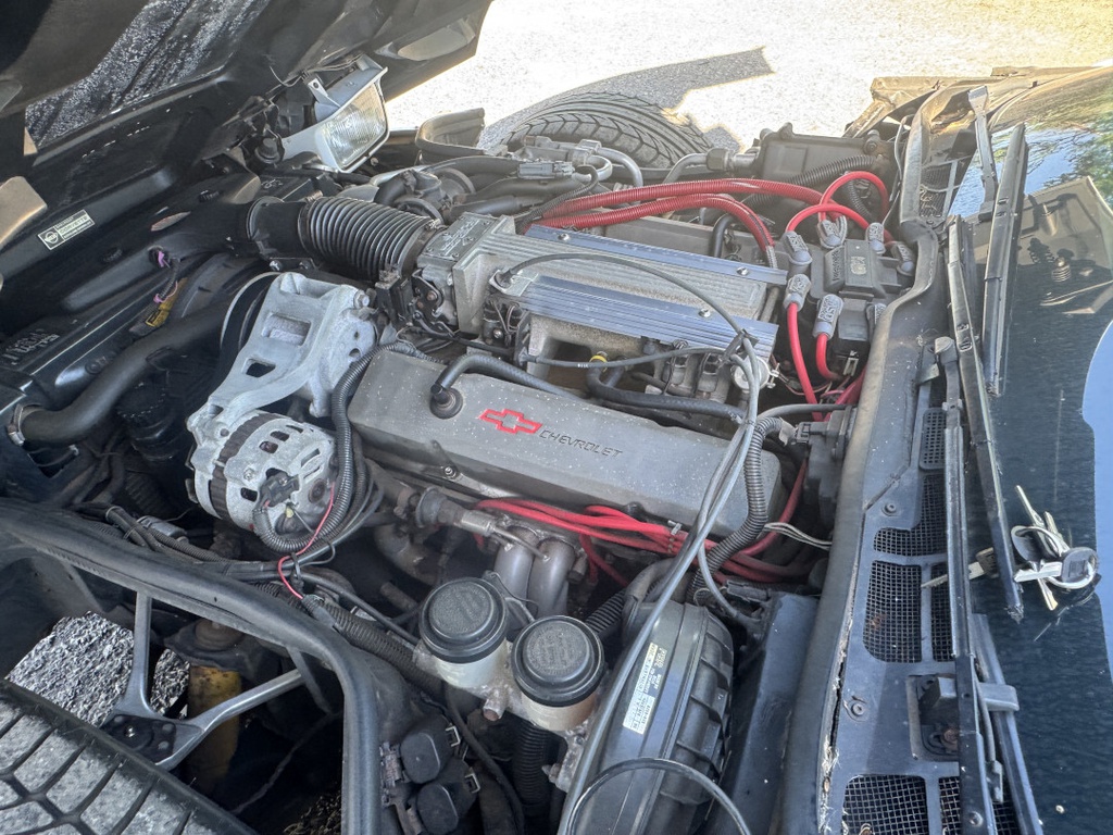 Pacific Auto Auction 2025.11.18.IMG_1898.JPG