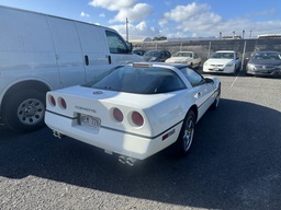 Pacific Auto Auction 2025.11.18.IMG_1902.JPG