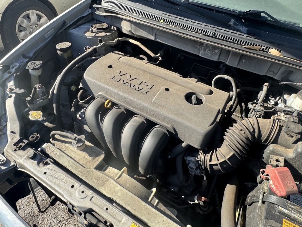 Pacific Auto Auction 2025.11.18.IMG_1919.JPG