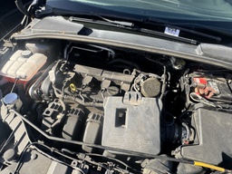 Pacific Auto Auction 2025.11.18.IMG_1963.JPG