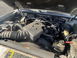 Pacific Auto Auction 2025.11.18.IMG_2002.JPG