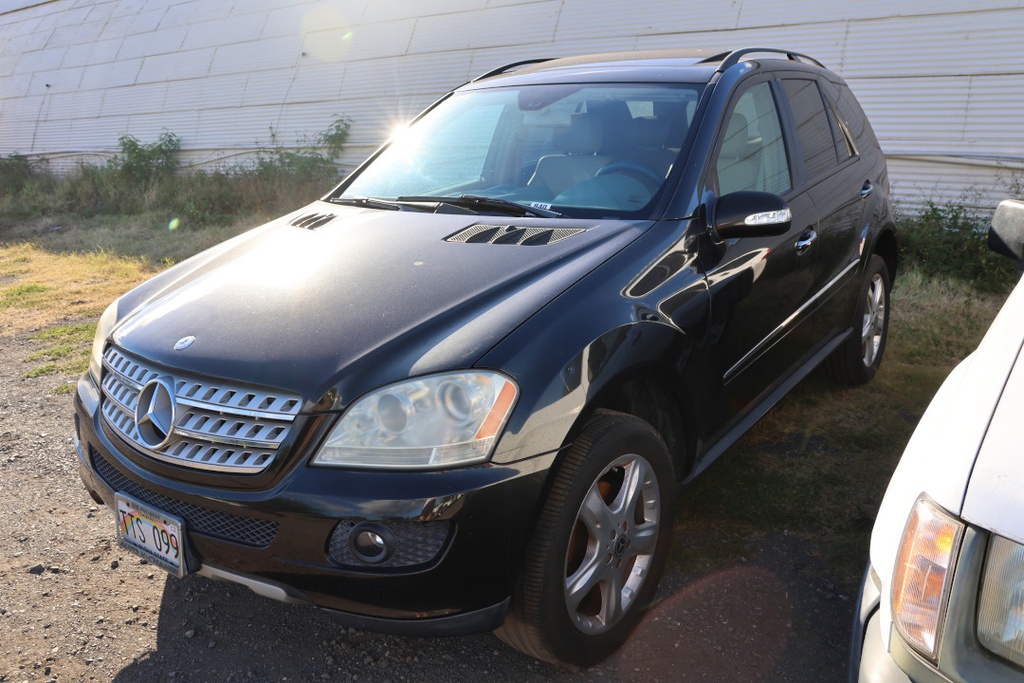 MERZ ML350 2008 TTS099