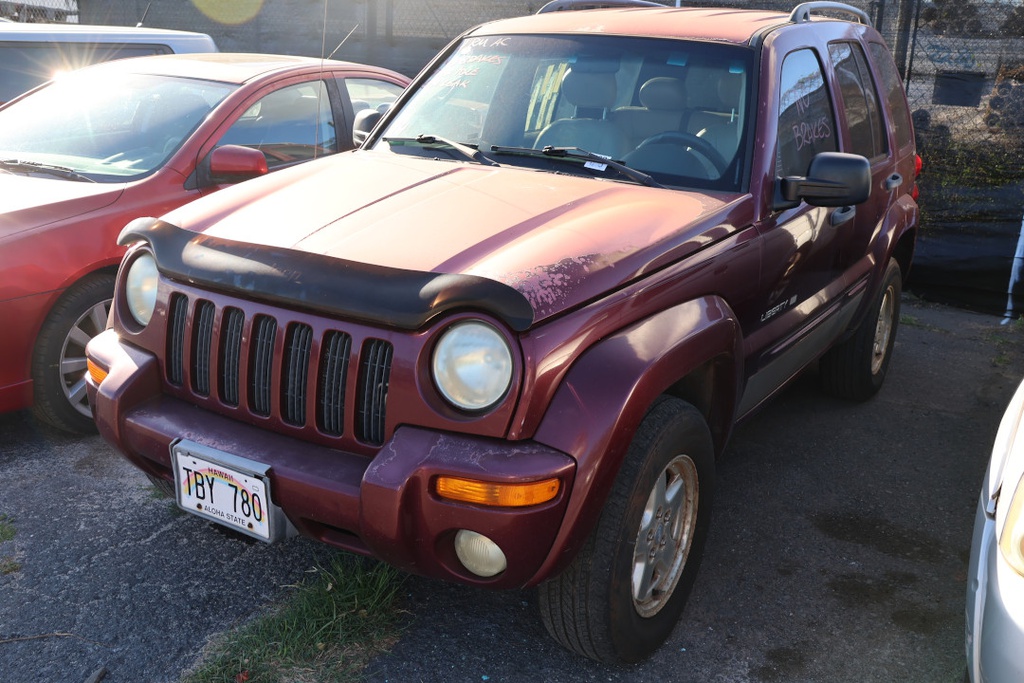 JEEP Liberty 2002 TBY780