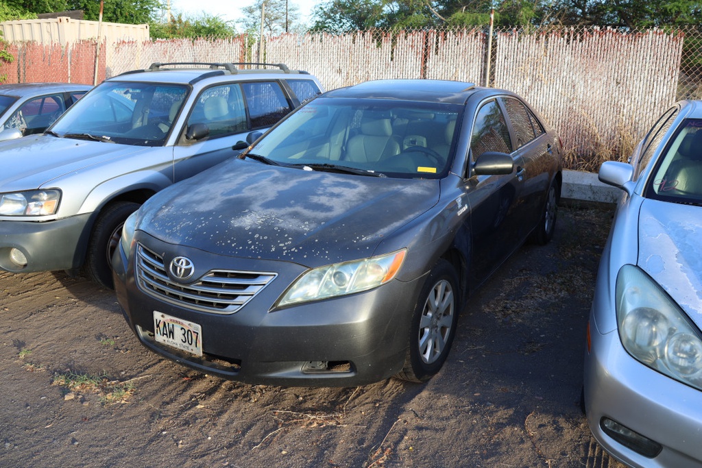TOYT Camry Hybrid 2009 KAW307