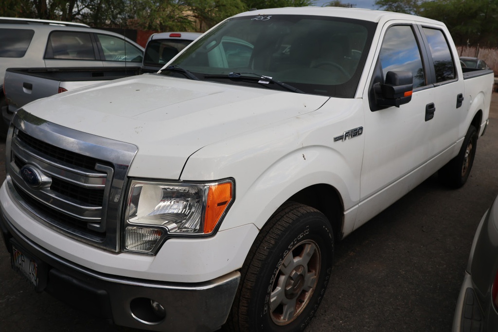 FORD F150 2013 TCP040