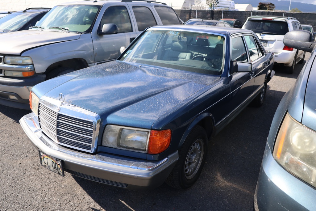 MERZ 300 1983 FCT002