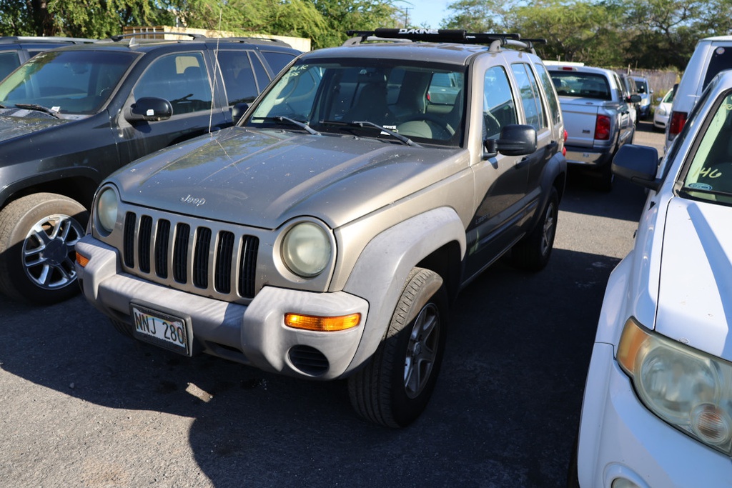 JEEP Liberty 2004 NNJ280