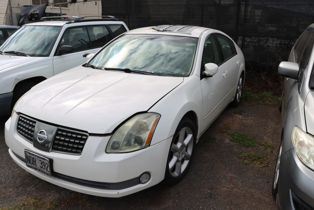 NISS Maxima 2004 NDR392-FF