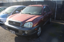 HYUN Santa Fe 2004 TNR439-PP