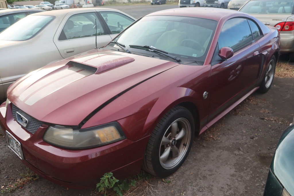 FORD Mustang 2004 NGU352