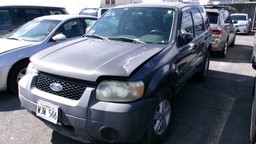FORD Escape 2006 WJW566