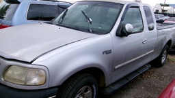 FORD F150 1999 TRC447-33