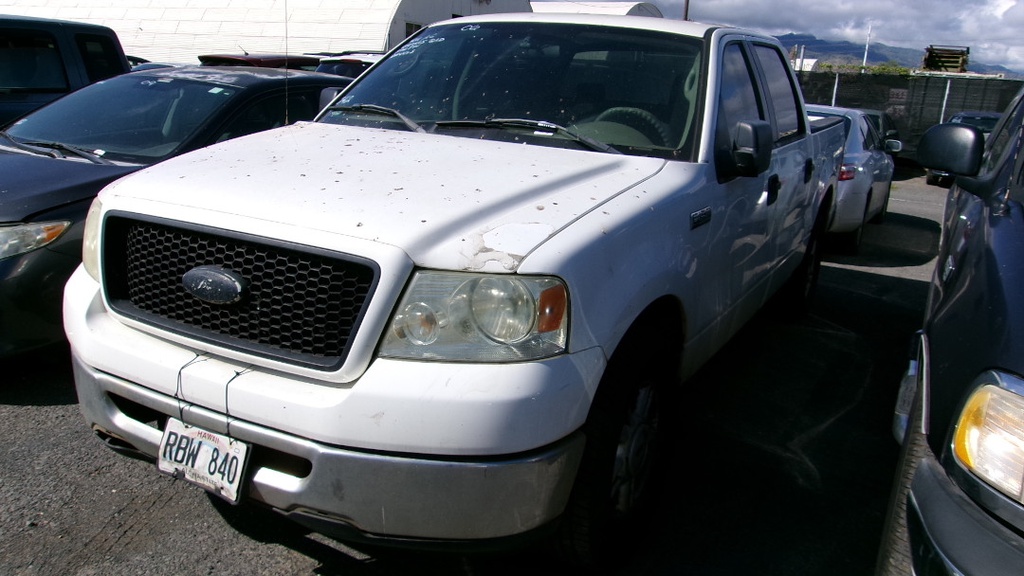 FORD F150 2006 RBW840