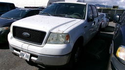 FORD F150 2006 RBW840