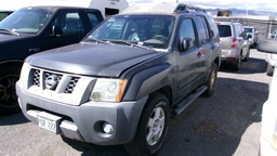 NISS Xterra 2007 PGR222