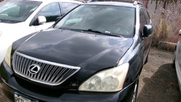 LEXS RX 350 2007 PGR296