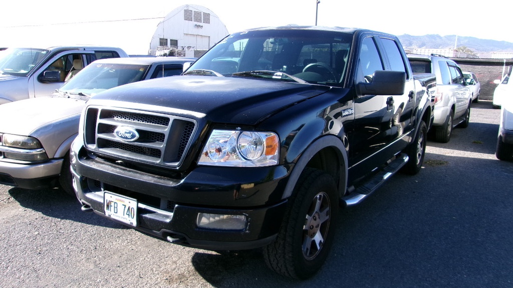 FORD F150 2005 WFB740