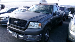 FORD F150 2004 NSZ875