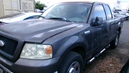 FORD F150 2006 006TWF