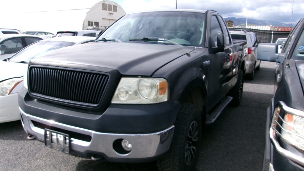 FORD F-150 2006 PRTPPR