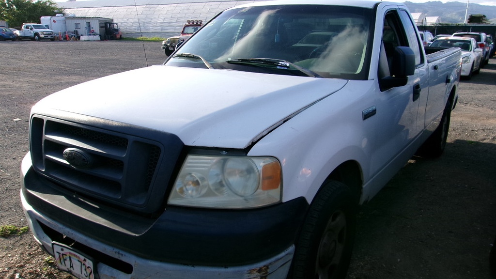 FORD F-150 2006 TFA732