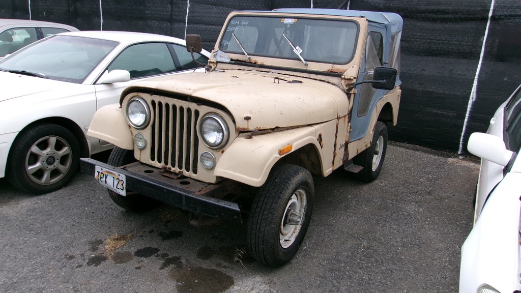 JEEP (AMER) CJ-5 1981 TPX123