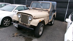 JEEP (AMER) CJ-5 1981 TPX123