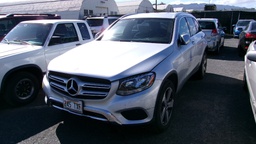 MERZ GLC 300 2017 245TXF